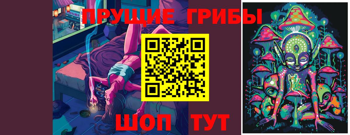 Кимовск  Псилоцибиновые грибы Psilocybine cubensis  Вход с VPN  Галлюциногенные грибы MAGIC MUSHROOMS 