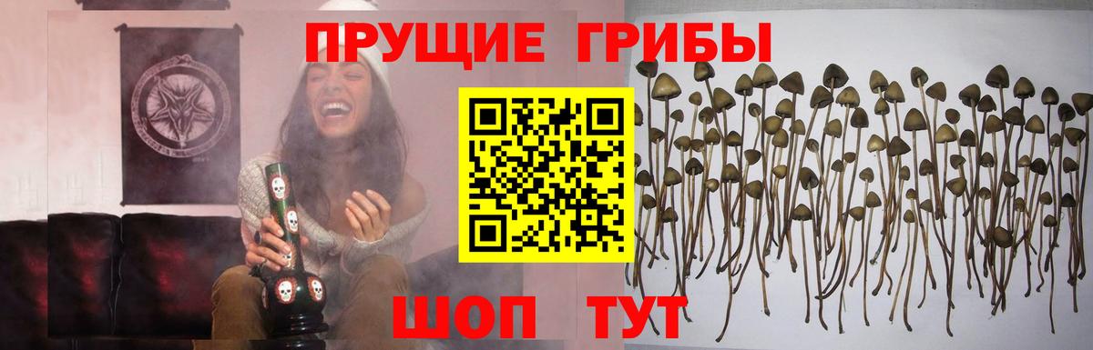 Галлюциногенные грибы мицелий Кимовск